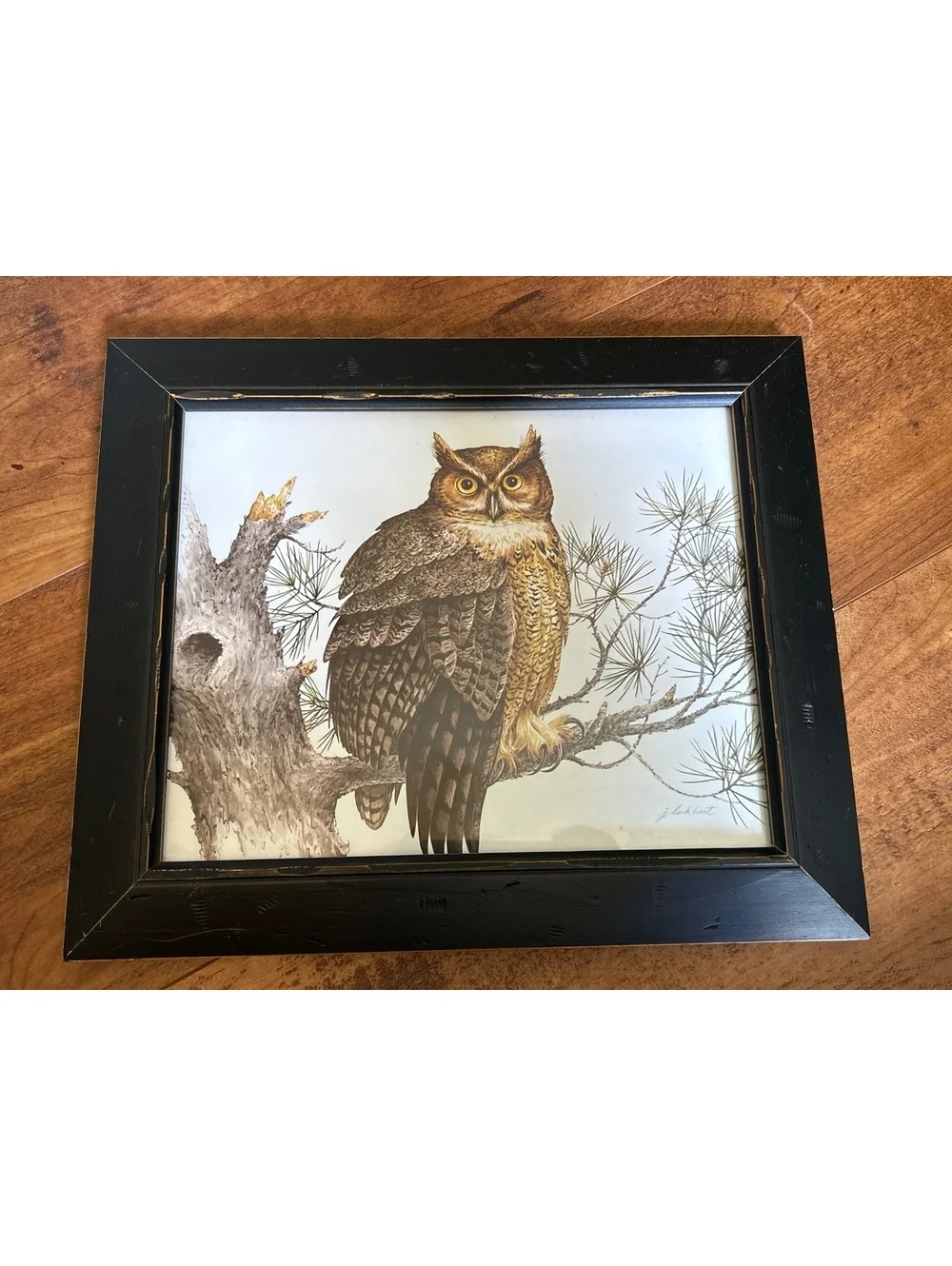 Vintage Owl Artwork Pair in Black Wooden Frames